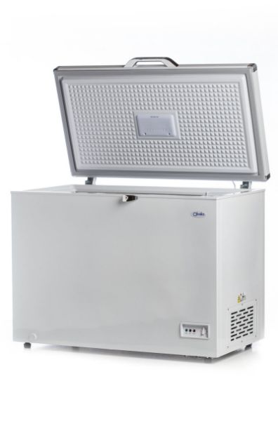 Imagen de Congelador Arctic BD-250 Tapa Sellada 